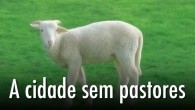 Por Nilson Pereira de Moura – Bel em Teologia e pastor da ICB (29.4.2012) Mateus 9:35-37 “Jesus ia passando por todas as cidades e povoados, ensinando nas sinagogas, pregando as...