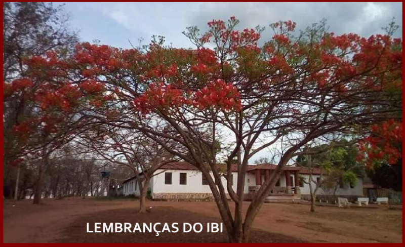 Instituto Batista Homenagem