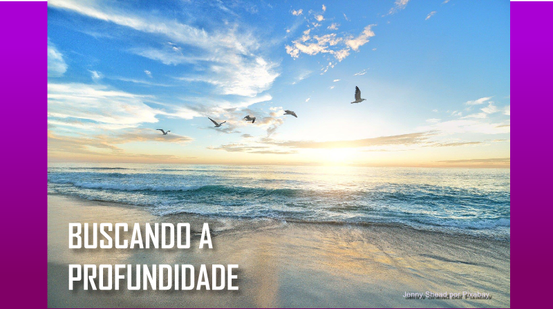 Buscando a Profundidade